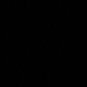 Meet your Posher, Daryl